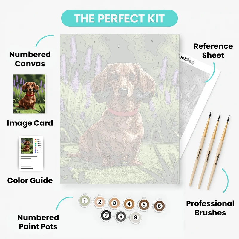 Dachshund in Lavender Garden - Paint by Numbers Kit