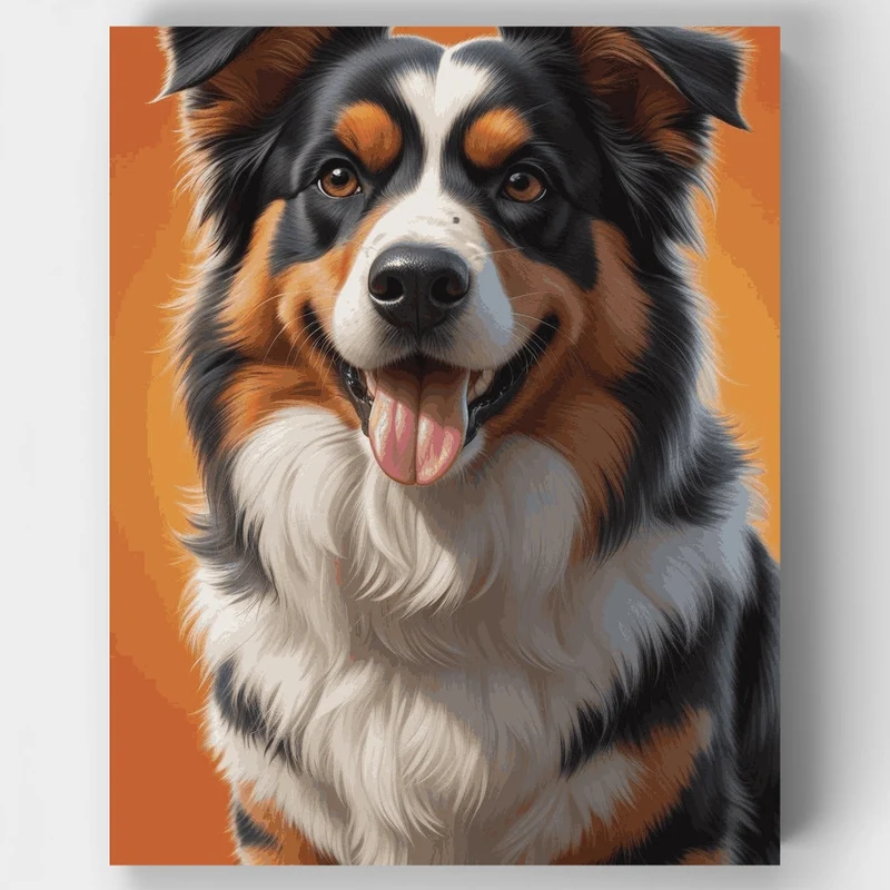 Tri-Color Australian Shepherd Portrait - Paint by Numbers Kit