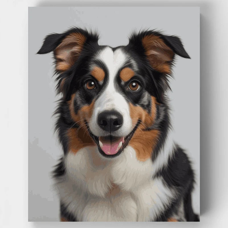 Australian Shepherd Dog - Paint by Numbers Kit