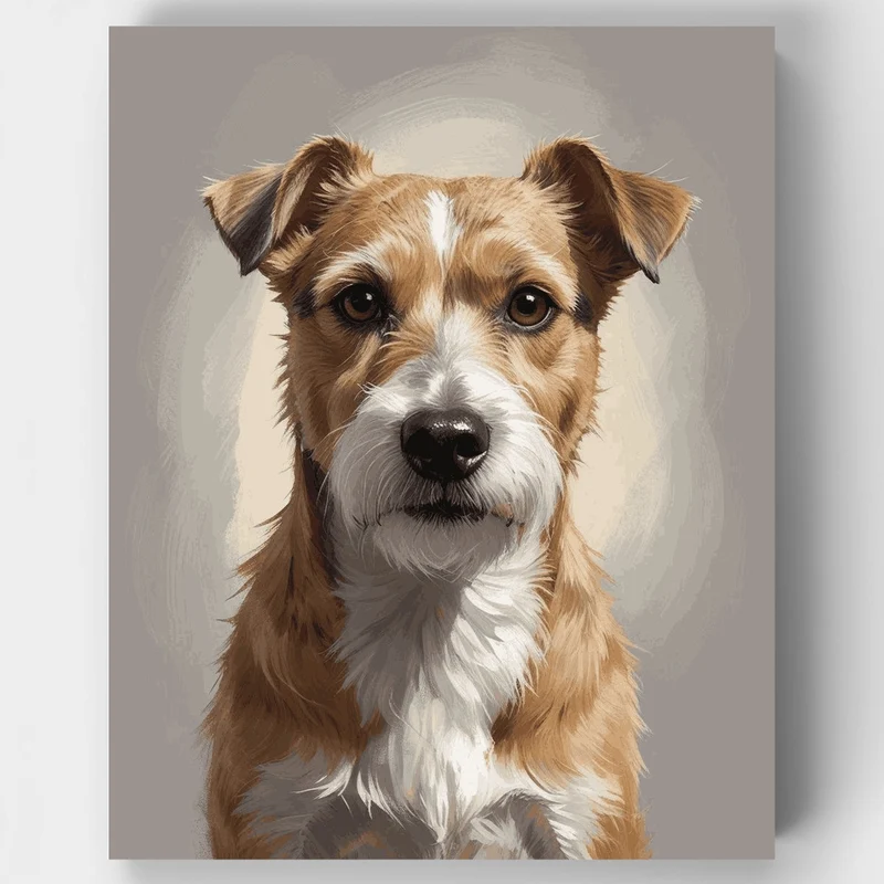 Border Terrier Portrait - Paint by Numbers Kit