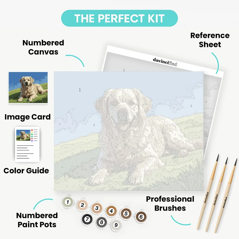 Golden Retriever in Sunshine - Paint by Numbers Kit