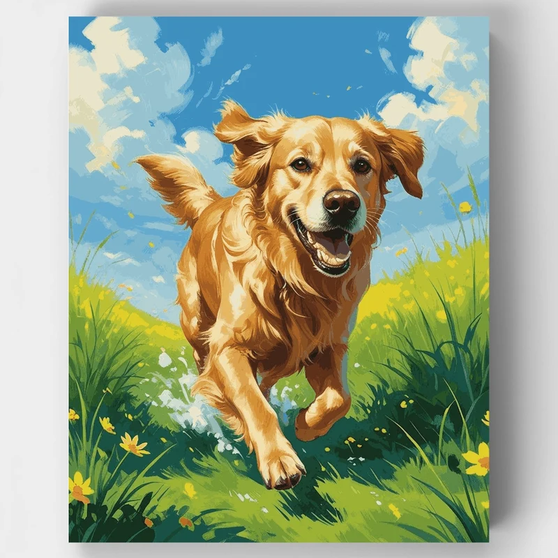 Golden Retriever Running Through Sunny Meadow - Paint by Numbers Kit