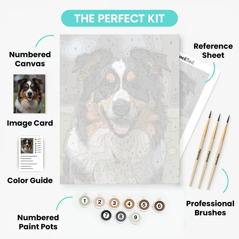 Australian Shepherd - Paint by Numbers Kit