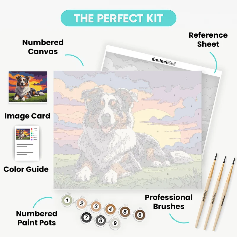Australian Shepherd at Sunset - Paint by Numbers Kit