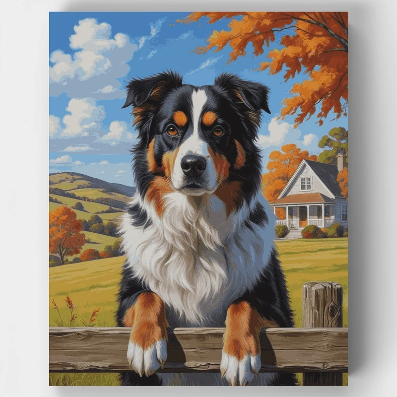 Bernese Mountain Dog in Autumn Countryside - Paint by Numbers Kit
