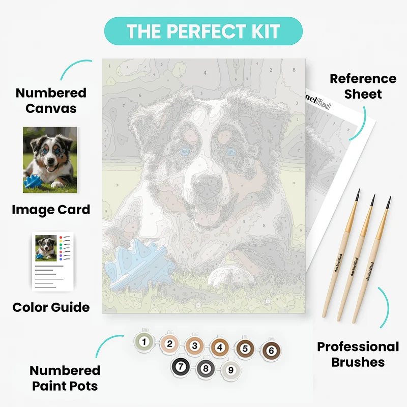 Playful Australian Shepherd Puppy - Paint by Numbers Kit