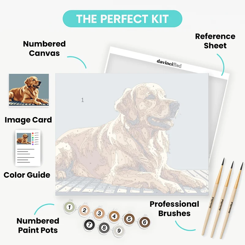 Golden Retriever Relaxing - Paint by Numbers Kit