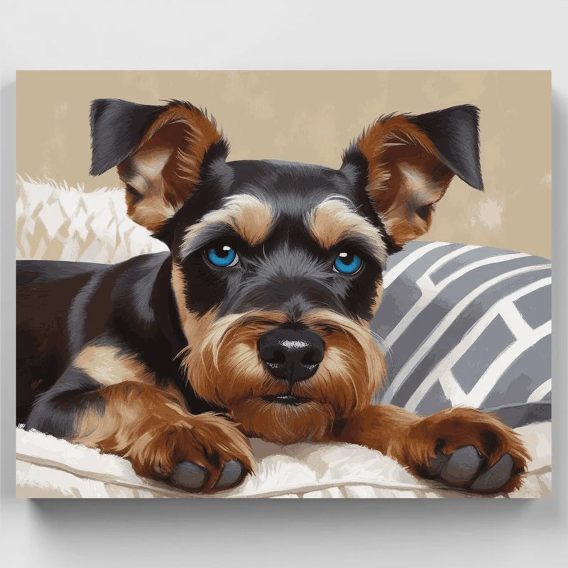 Schnauzer with Blue Eyes - Paint by Numbers Kit
