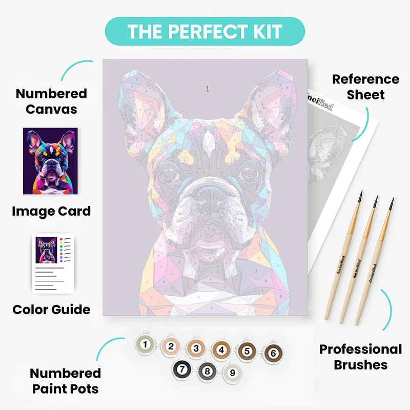 Vibrant French Bulldog - Paint by Numbers Kit