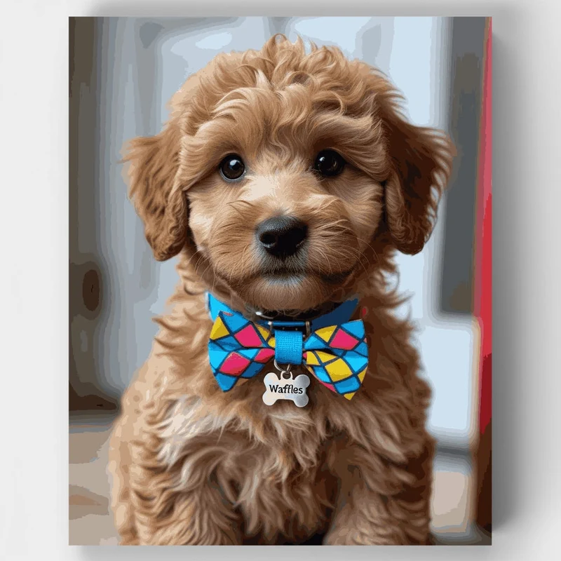 Waffles the Cockapoo - Paint by Numbers Kit