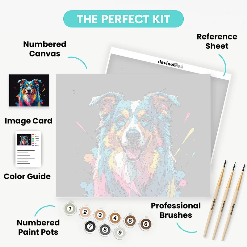 Vibrant Border Collie - Paint by Numbers Kit