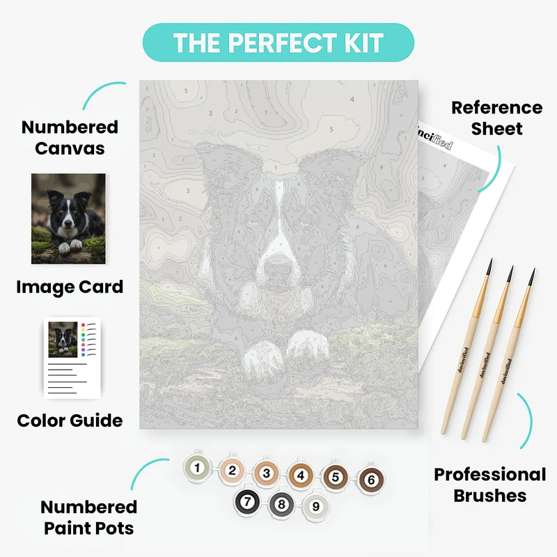 Border Collie in Natural Setting - Paint by Numbers Kit