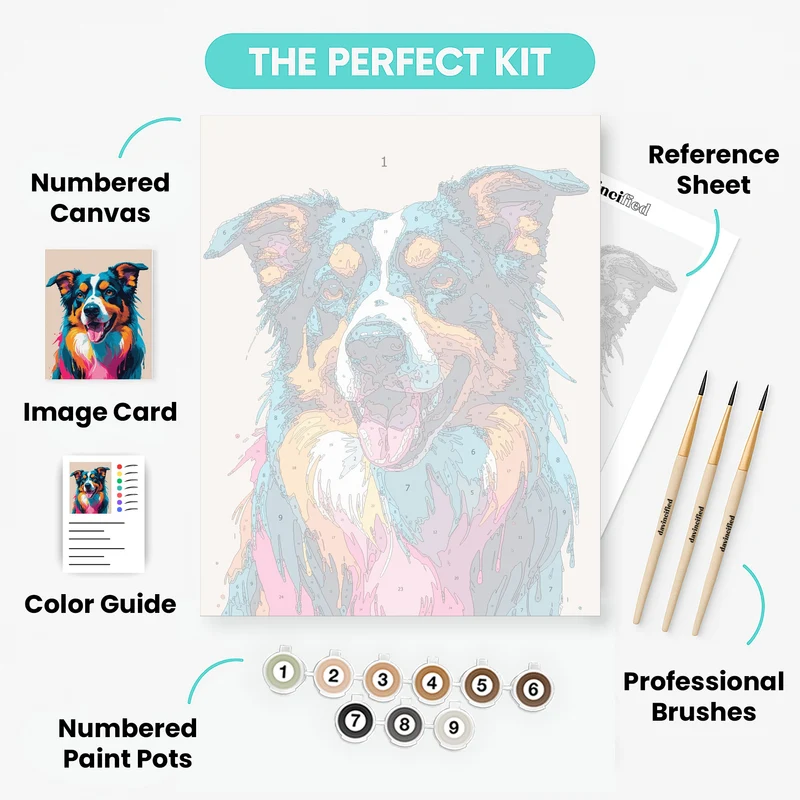 Colorful Border Collie Pop Art - Paint by Numbers Kit