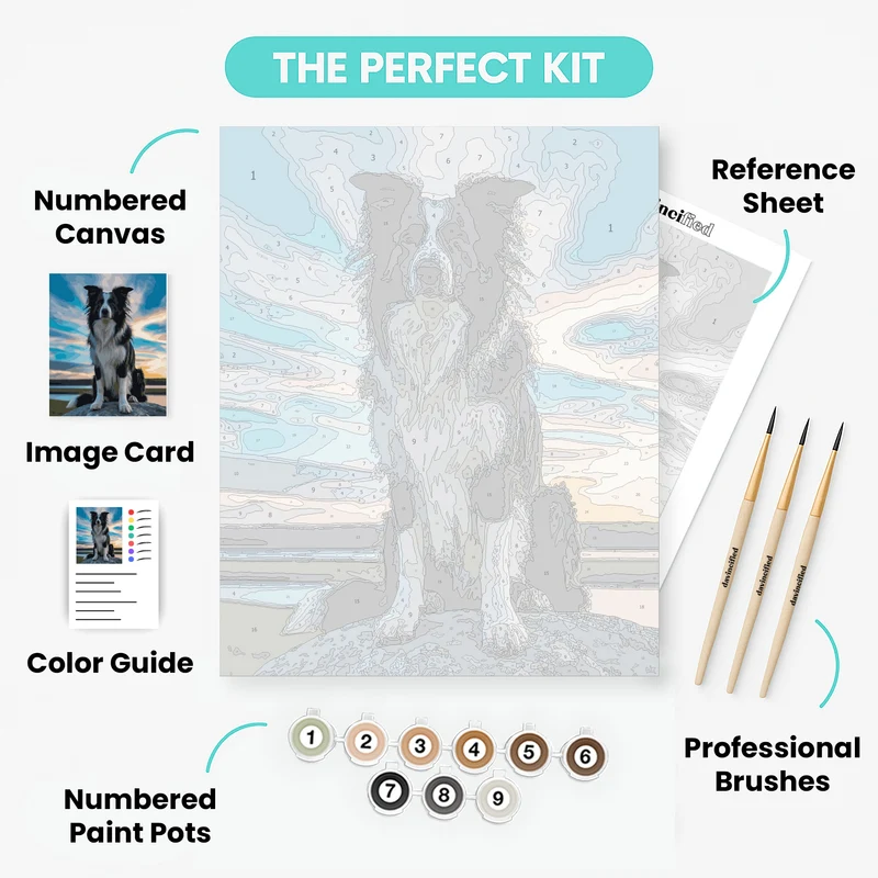 Border Collie at Sunset - Paint by Numbers Kit