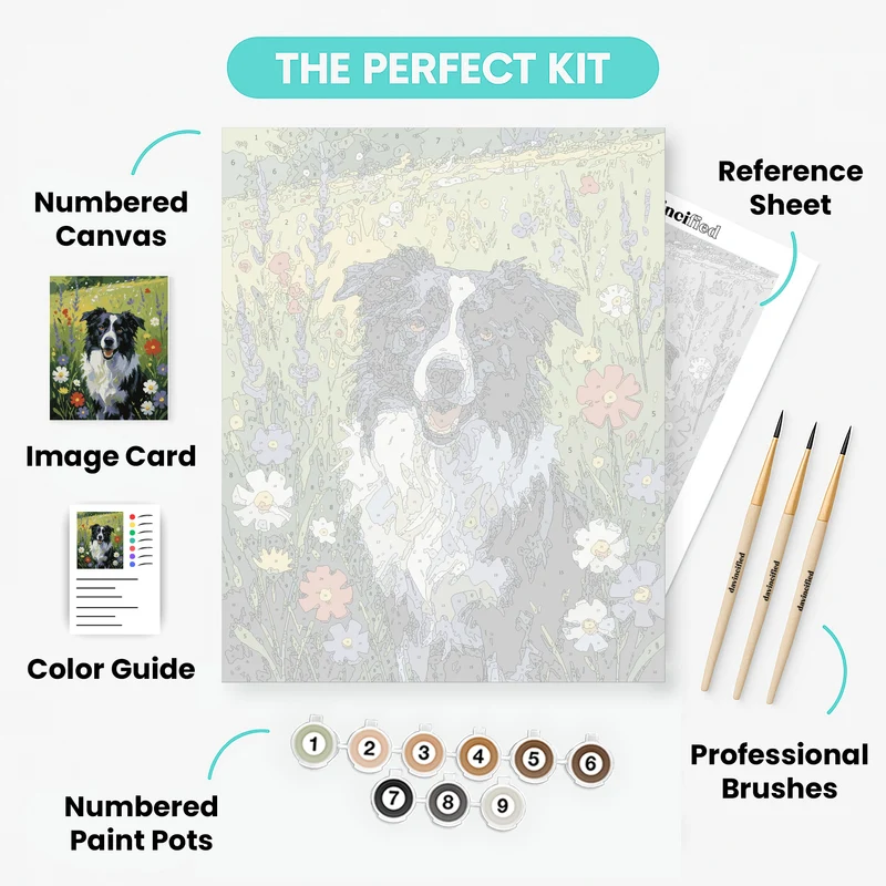 Border Collie in Wildflower Meadow - Paint by Numbers Kit
