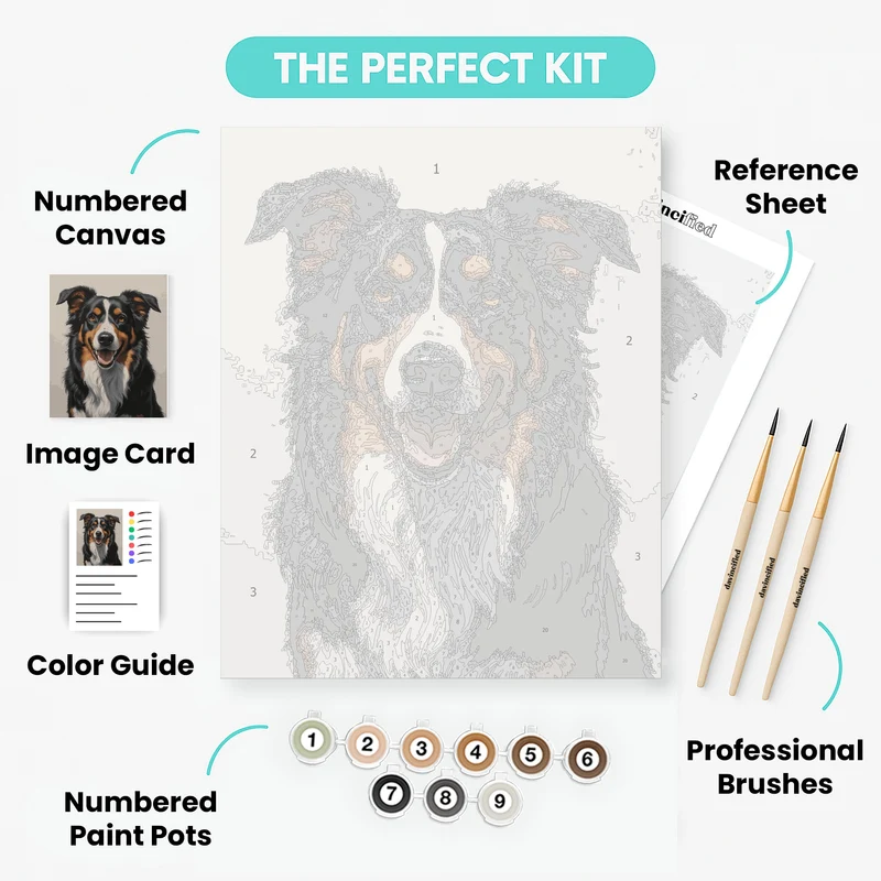 Happy Border Collie Portrait - Paint by Numbers Kit