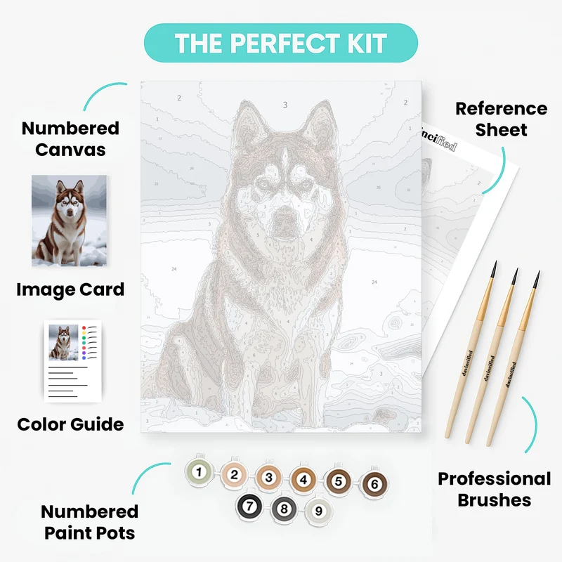 Majestic Husky in Snow - Paint by Numbers Kit
