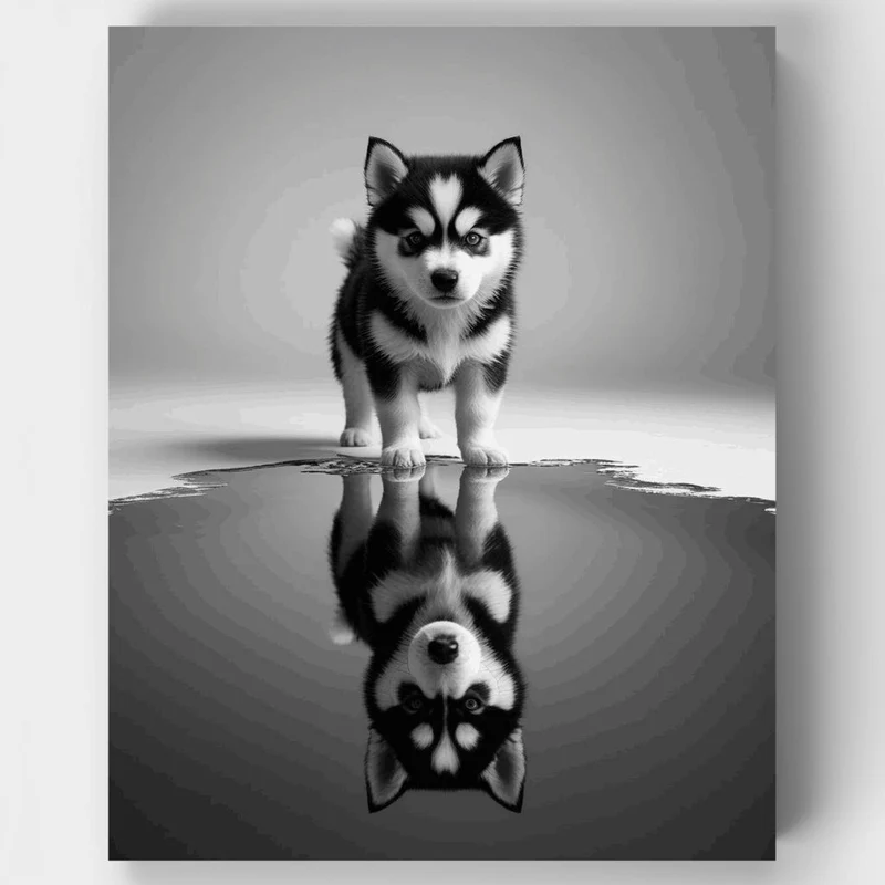 Husky Puppy Reflection - Paint by Numbers Kit