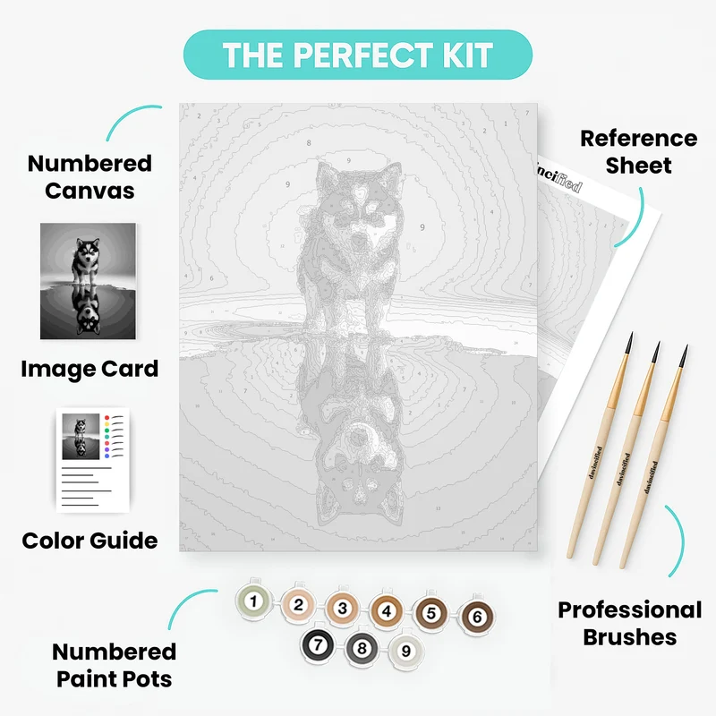 Husky Puppy Reflection - Paint by Numbers Kit