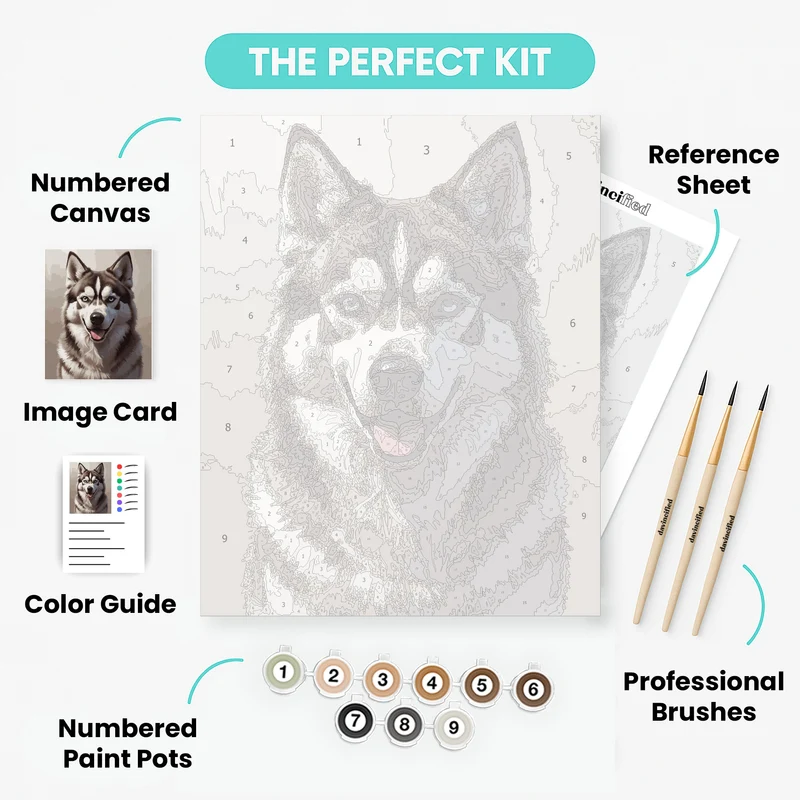 Husky Portrait - Paint by Numbers Kit