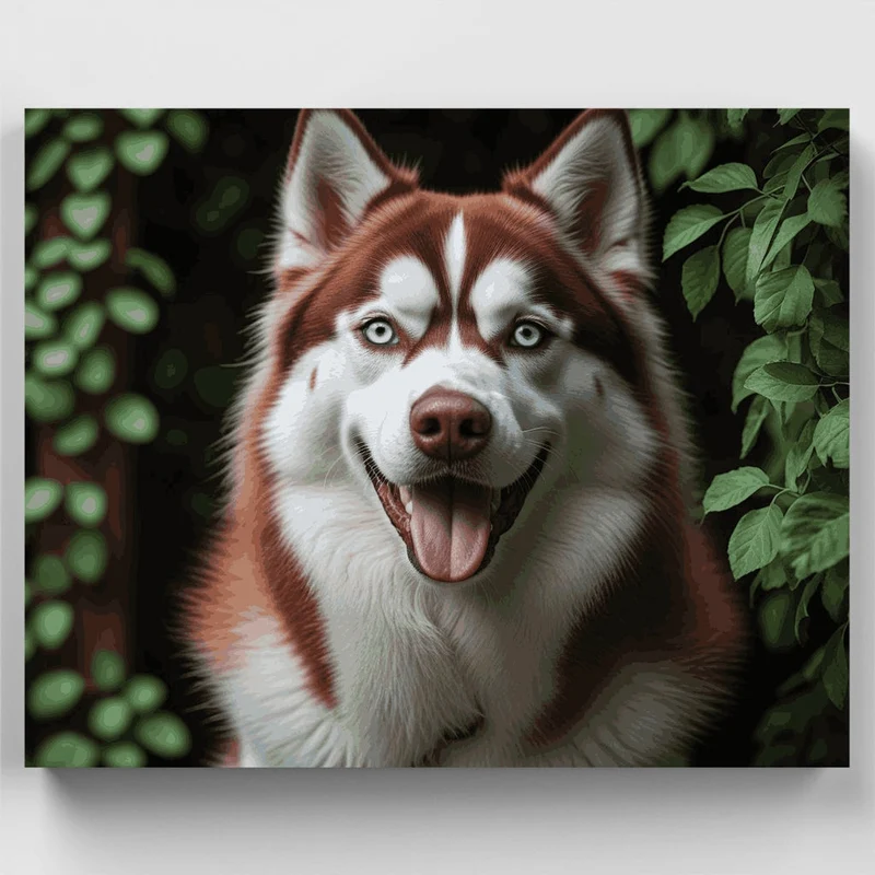 Red and White Husky in Green Forest - Paint by Numbers Kit
