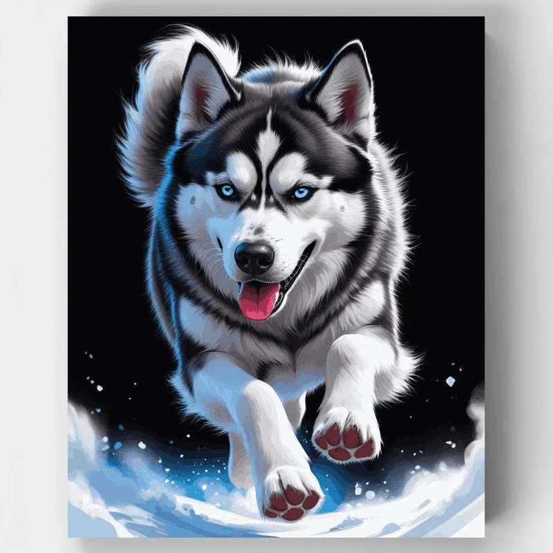 Energetic Husky Running Through Snow - Paint by Numbers Kit