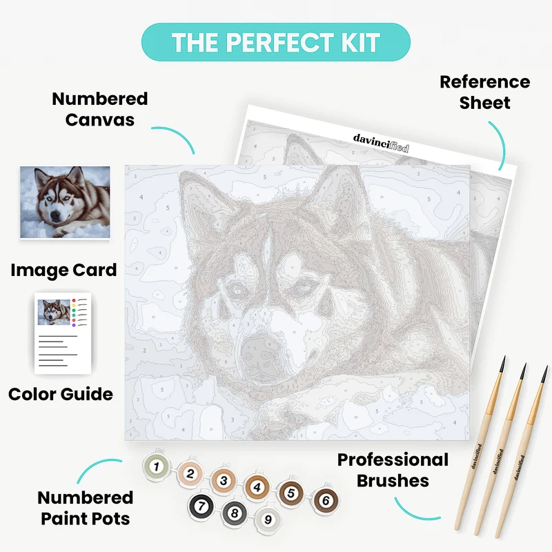 Husky in Snow - Paint by Numbers Kit
