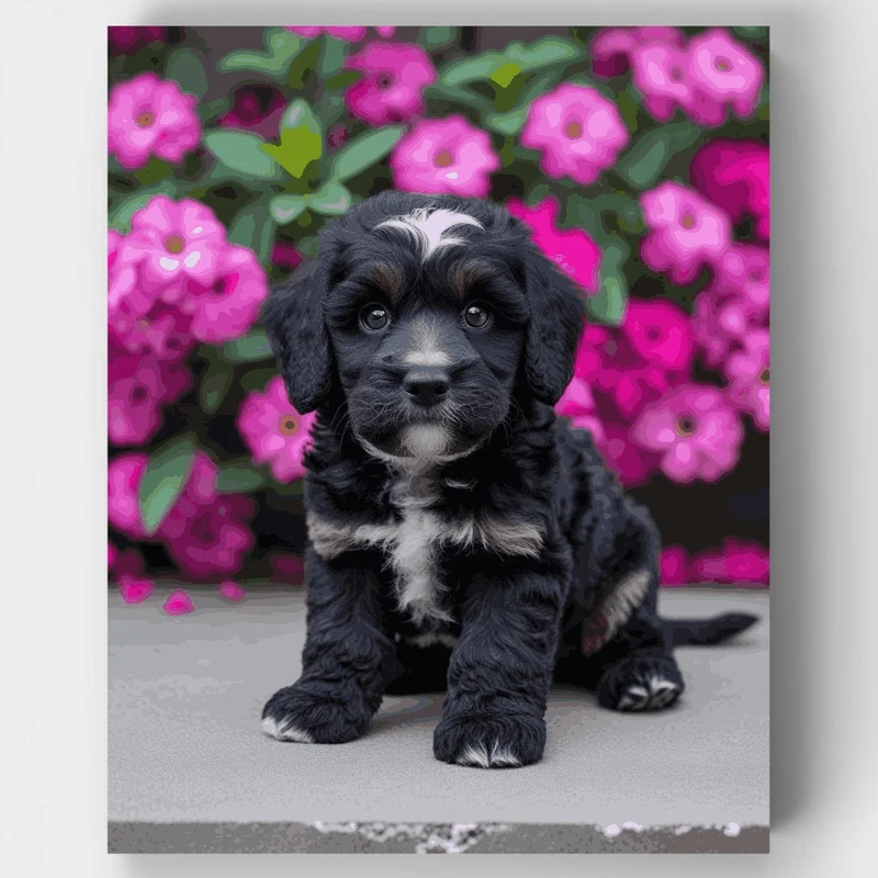 Adorable Black Cockapoo Puppy with Pink Flowers - Paint by Numbers Kit