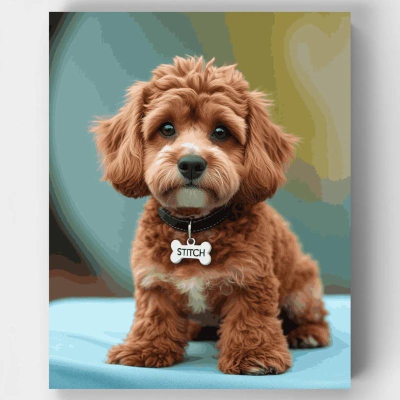 Stitch the Cockapoo - Paint by Numbers Kit