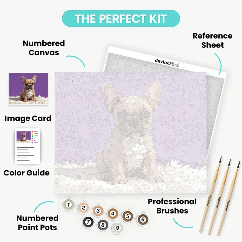 French Bulldog Puppy on Purple Background - Paint by Numbers Kit