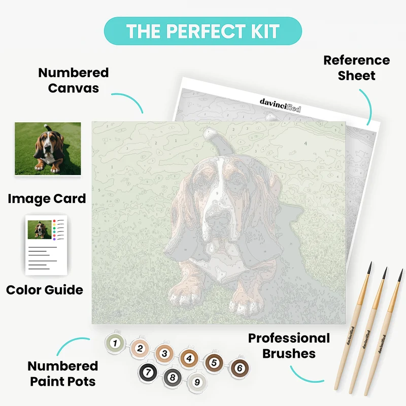 Basset Hound on Green Grass - Paint by Numbers Kit
