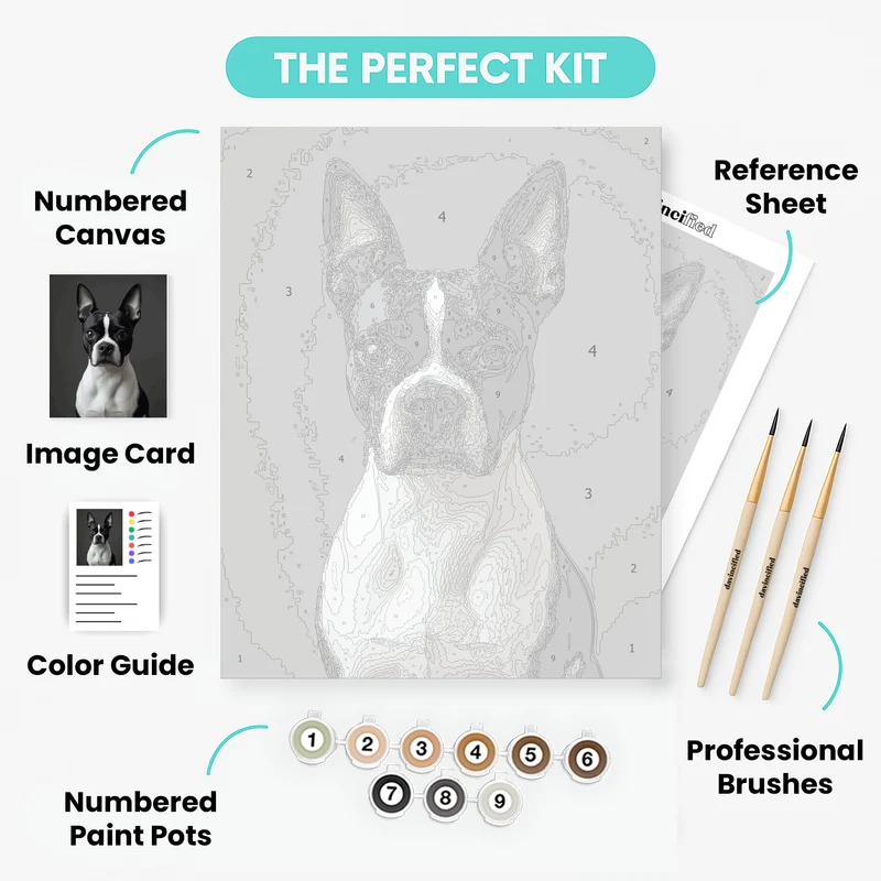 Distinguished Boston Terrier Studio Portrait - Paint by Numbers Kit