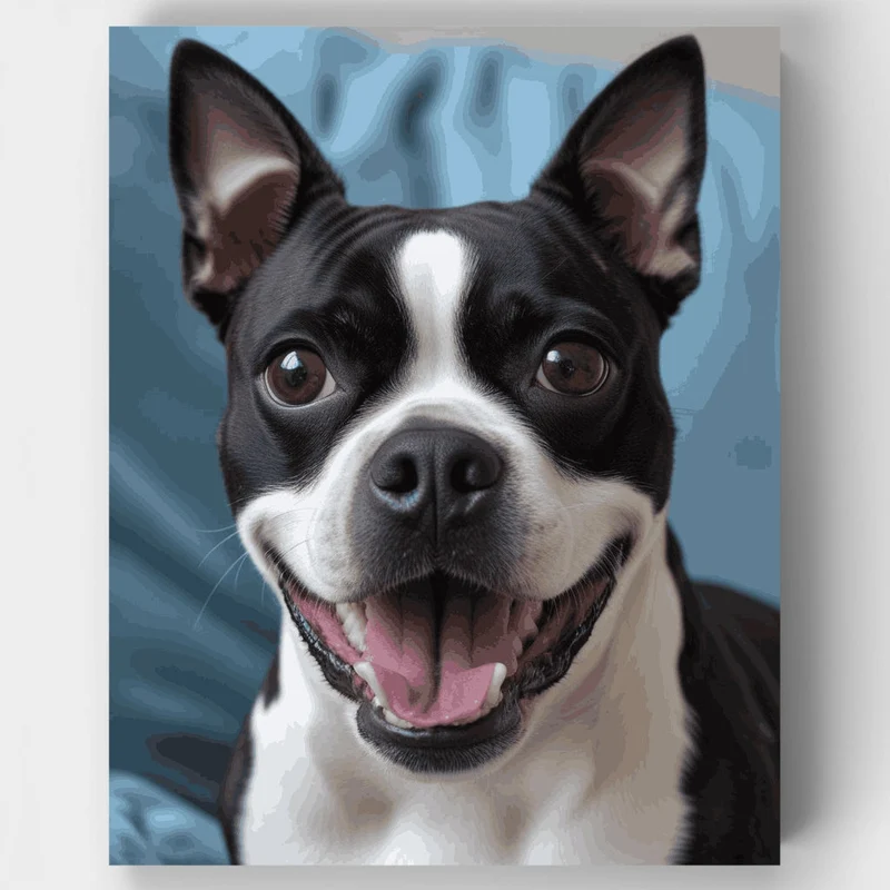 Happy Boston Terrier Close-Up - Paint by Numbers Kit