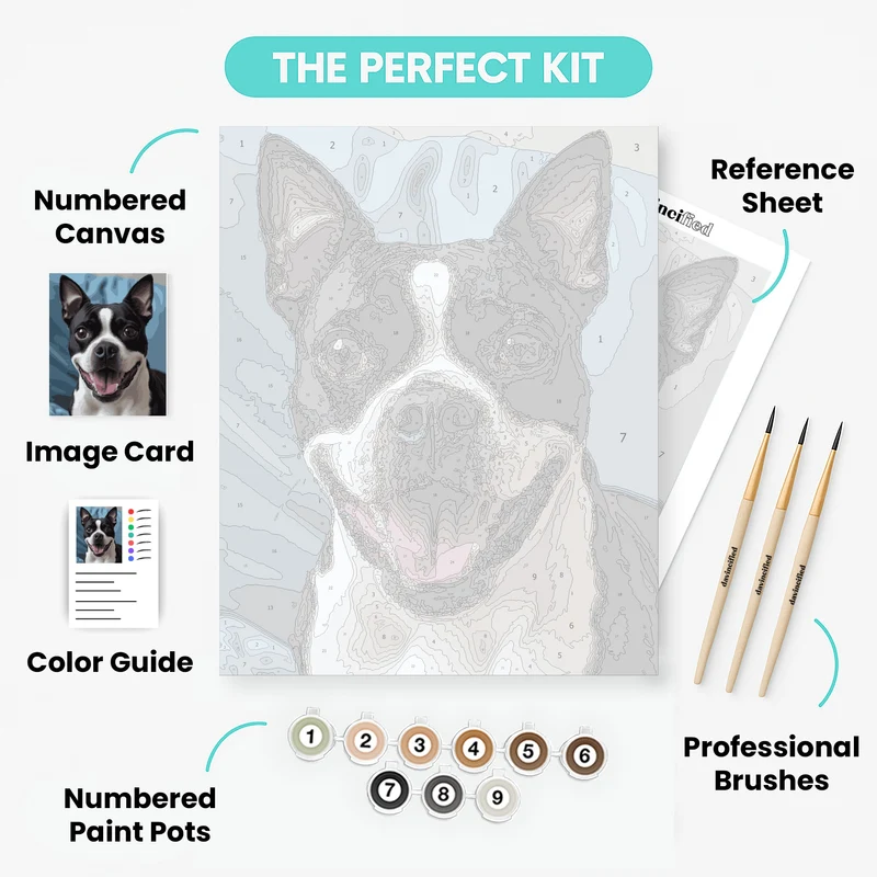 Happy Boston Terrier Close-Up - Paint by Numbers Kit