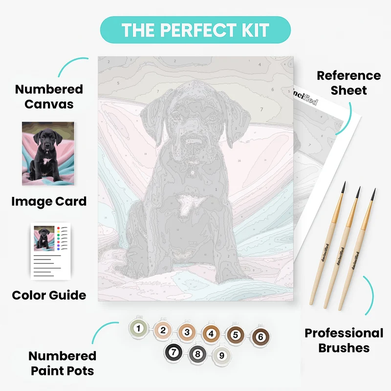 Black Great Dane Puppy - Paint by Numbers Kit