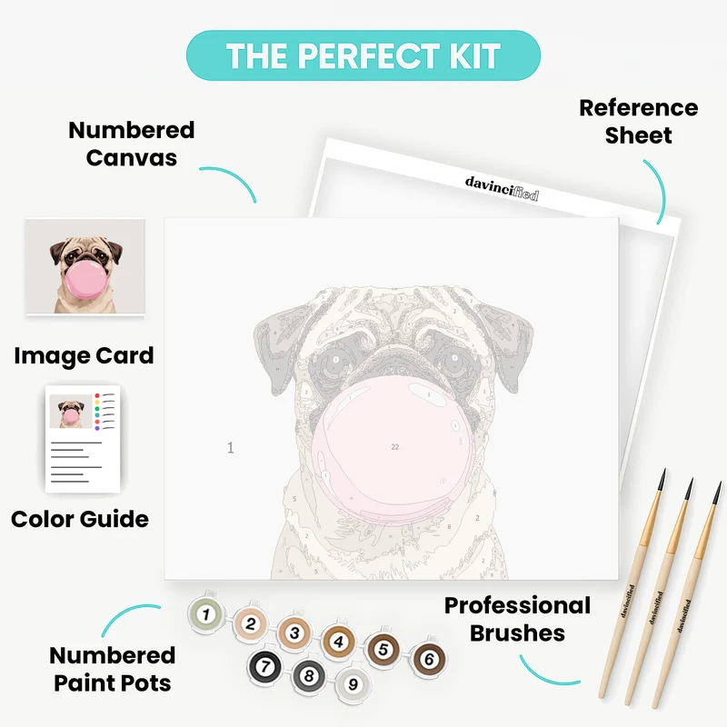 Pug Blowing Bubblegum - Paint by Numbers Kit