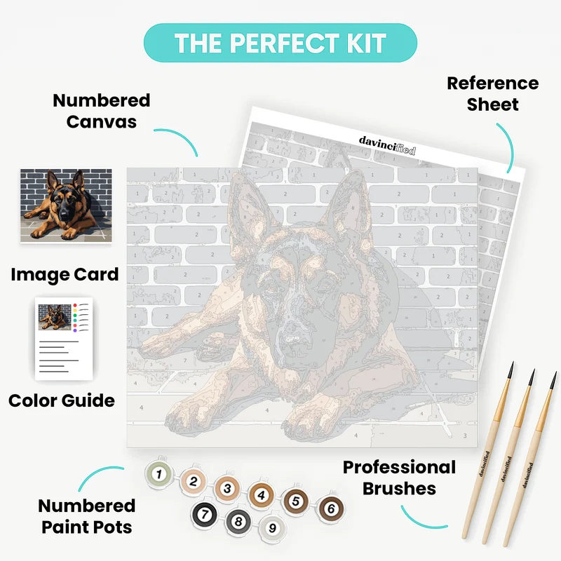 German Shepherd Resting on Brick Steps - Paint by Numbers Kit