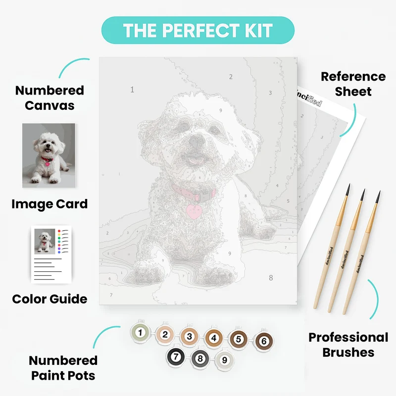 Ruby the Bichon Frise - Paint by Numbers Kit