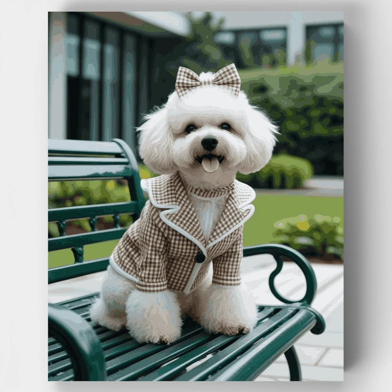 Stylish Bichon Frise on Park Bench - Paint by Numbers Kit