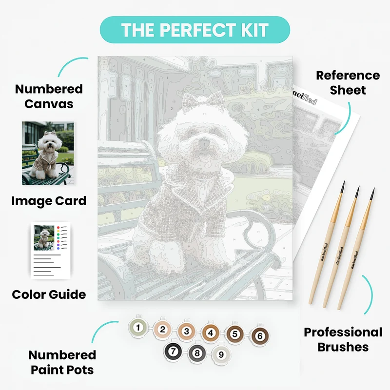 Stylish Bichon Frise on Park Bench - Paint by Numbers Kit