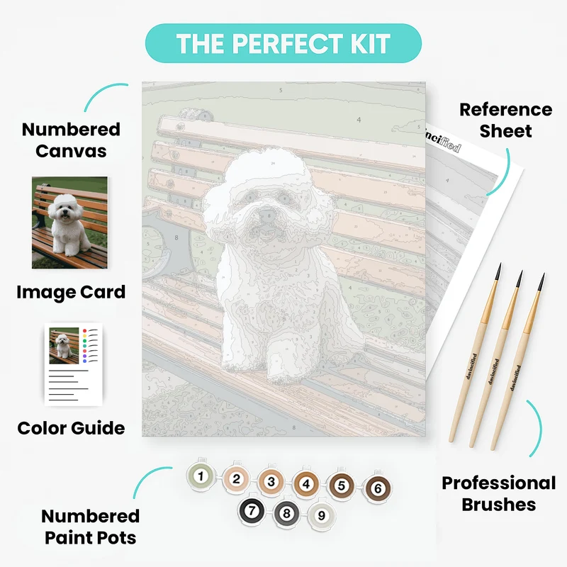 Fluffy Bichon Frise on Park Bench - Paint by Numbers Kit