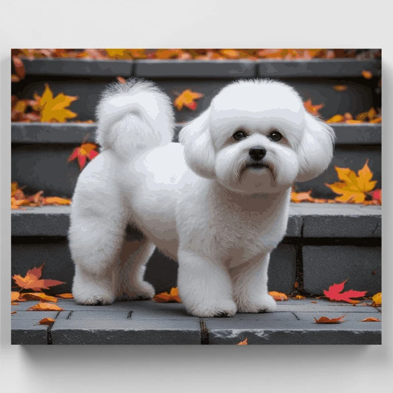 Fluffy Bichon Frise in Autumn Leaves - Paint by Numbers Kit