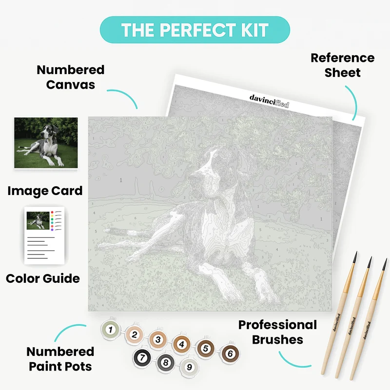 Majestic Great Dane - Paint by Numbers Kit