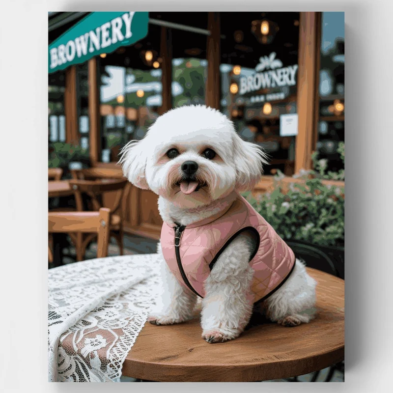 Stylish Bichon Frise at Cafe - Paint by Numbers Kit