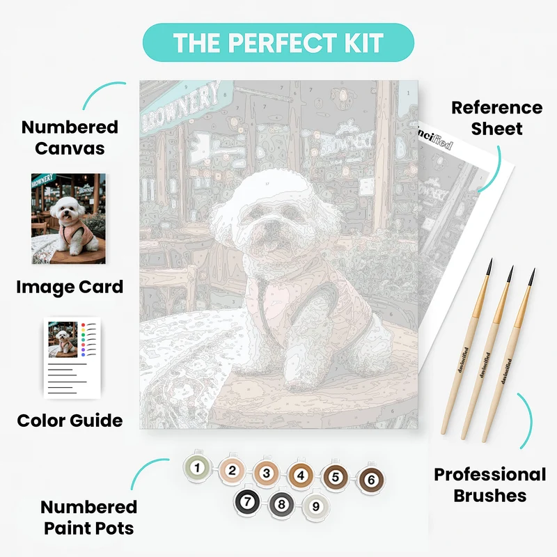 Stylish Bichon Frise at Cafe - Paint by Numbers Kit
