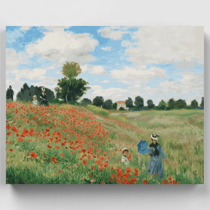 Poppy Field - Paint by Numbers Kit