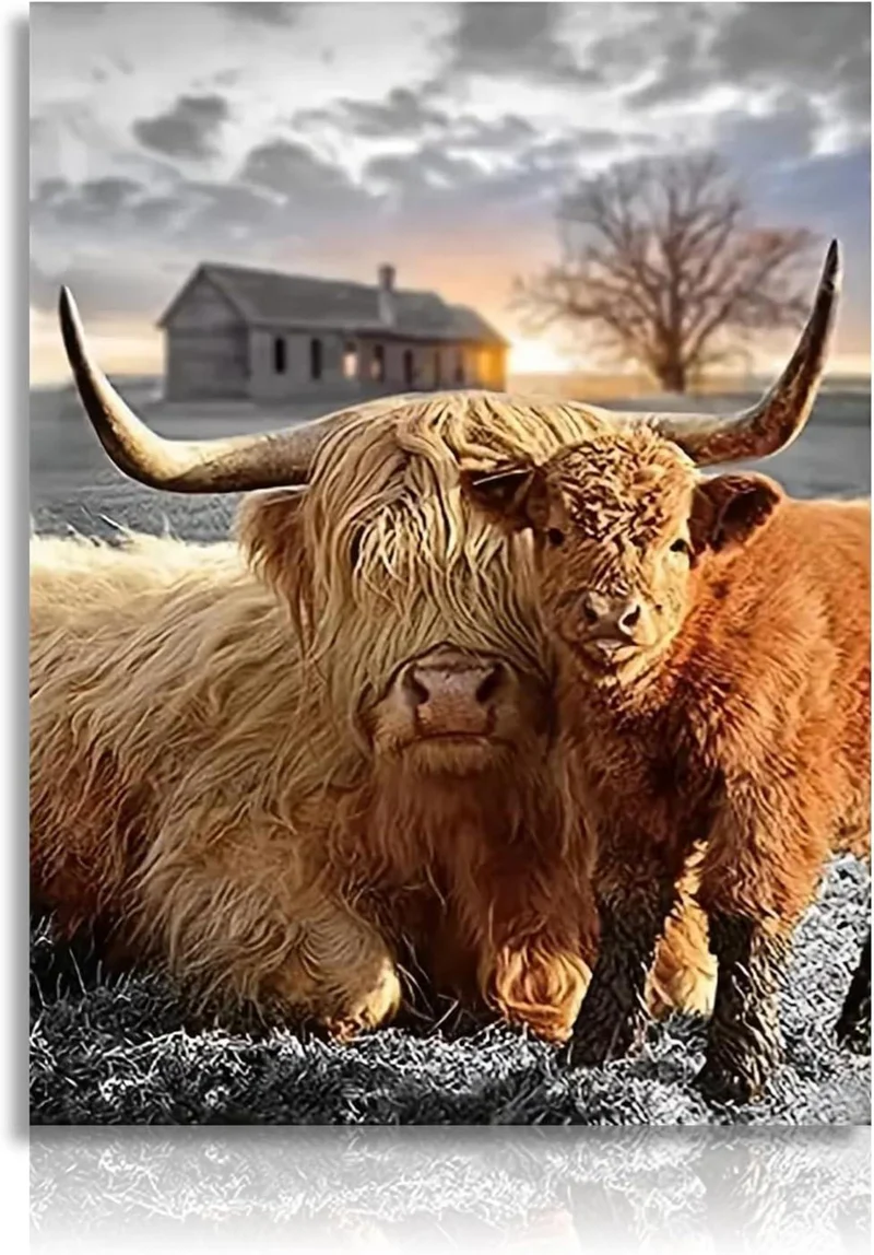 Hochland Kuh Leinwandbilder Rustikales Kuh Wandposter 12x16