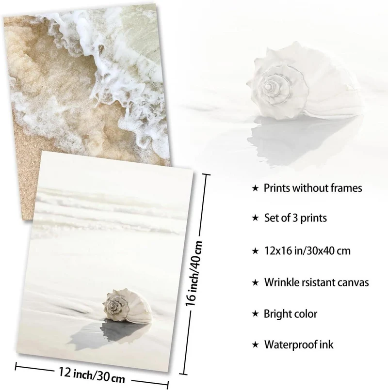 Strand Wandkunst Set Muschel Welle Drucke 30x40cm 3er Set