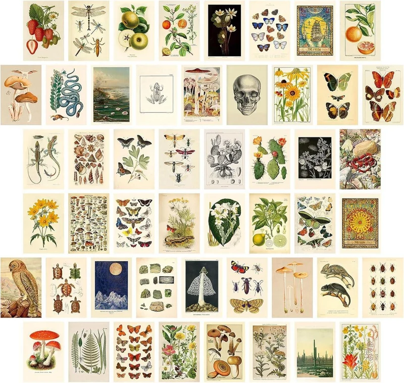 Vintage Ästhetische Wandcollage Set, 50 Stück Beidseitiger