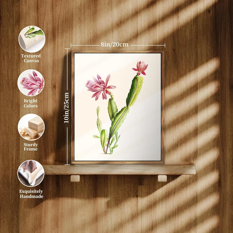 Vintage Botanische Leinwand Bilder Kaktus Blumen Bild 20x25